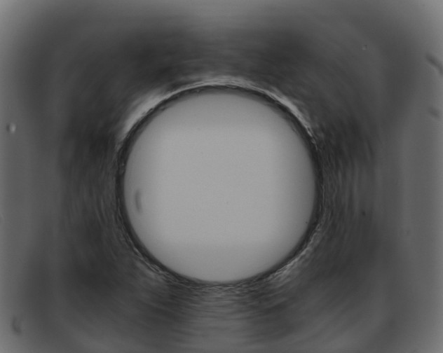 X0000093371263200710111320