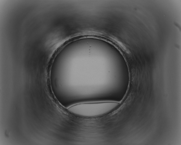 X0000093371264200710111320