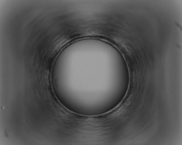 X0000093371265200710111320