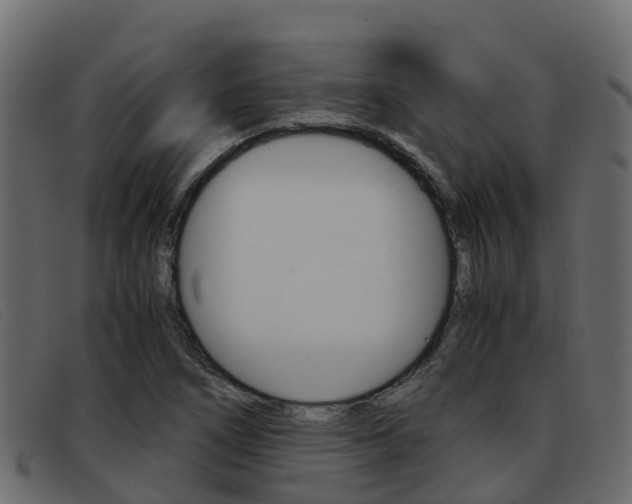 X0000093371266200710111320