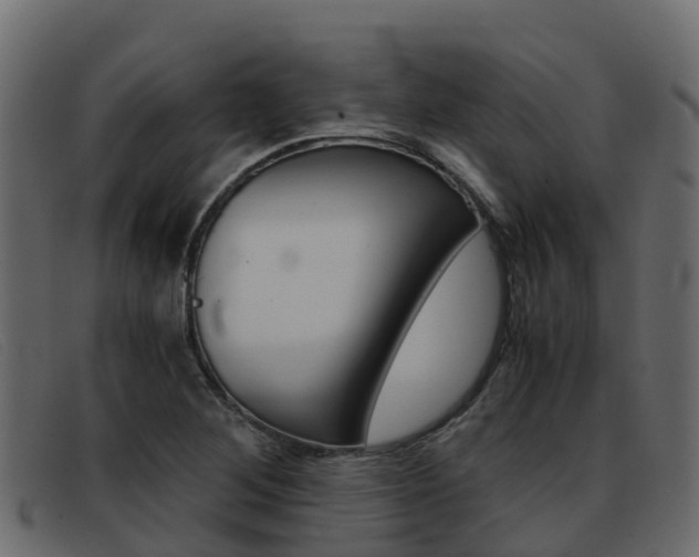X0000093371268200710111320