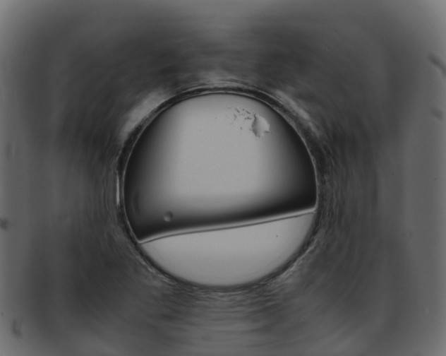 X0000093371269200710111320