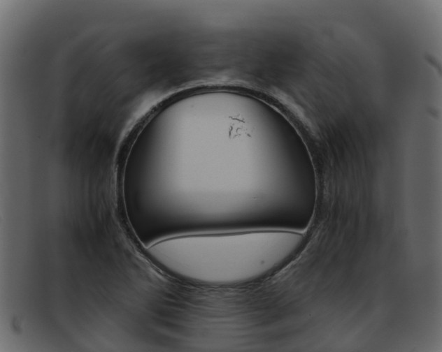 X0000093371270200710111320