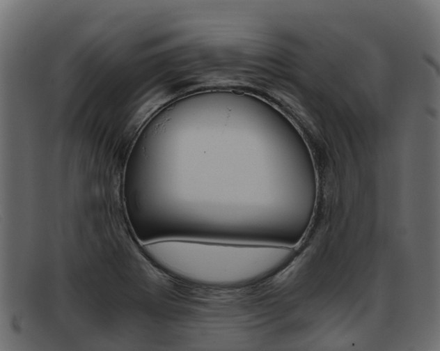X0000093371273200710111320