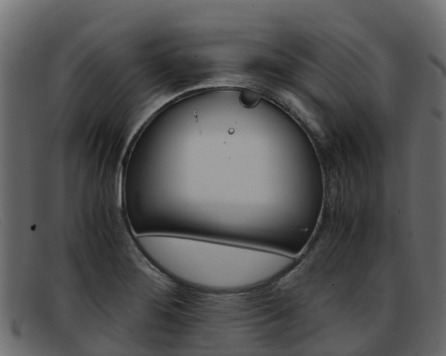 X0000093371276200710111320