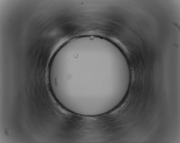 X0000093371278200710111320
