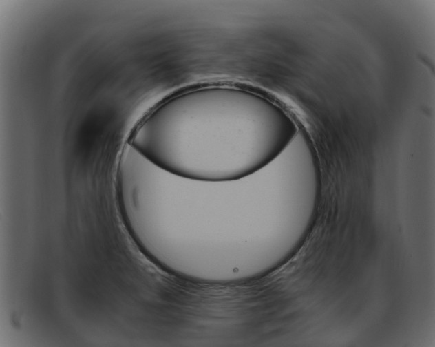 X0000093371279200710111320