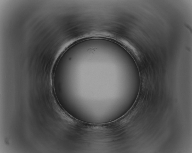 X0000093371280200710111320