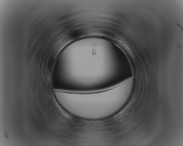 X0000093371281200710111320