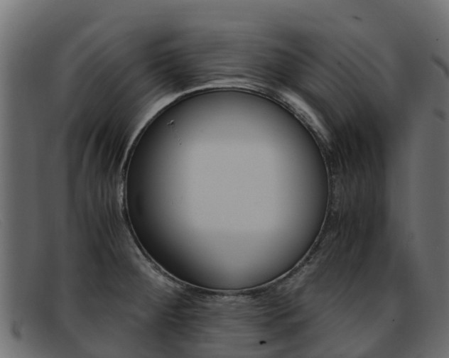 X0000093371284200710111320
