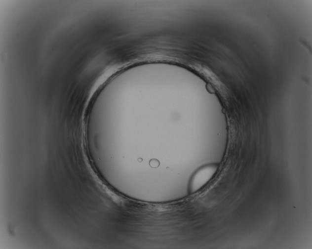 X0000093371286200710111320