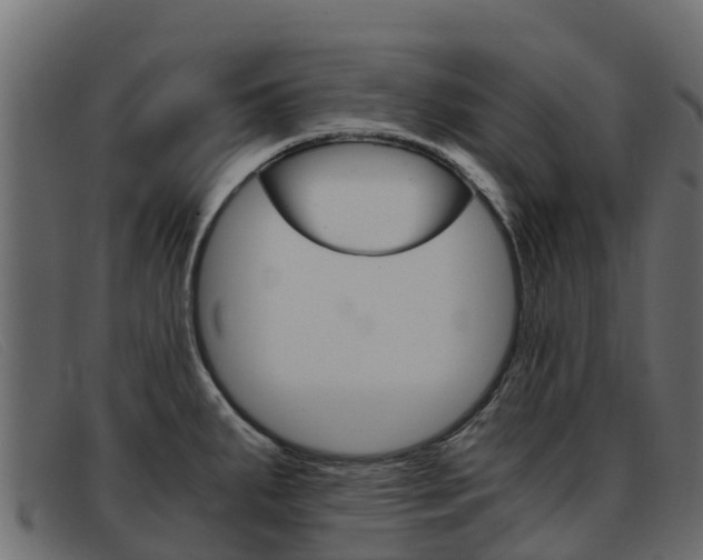X0000093371287200710111320