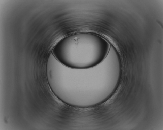 X0000093371289200710111320