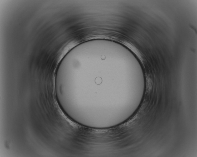 X0000093371290200710111320