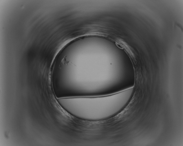 X0000093371292200710111320
