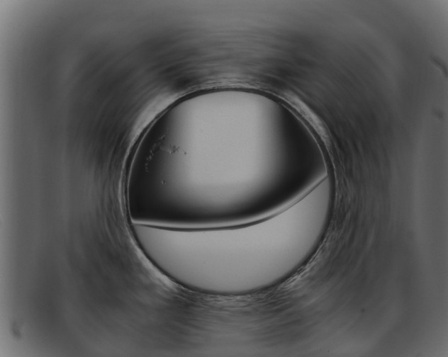 X0000093371293200710111320