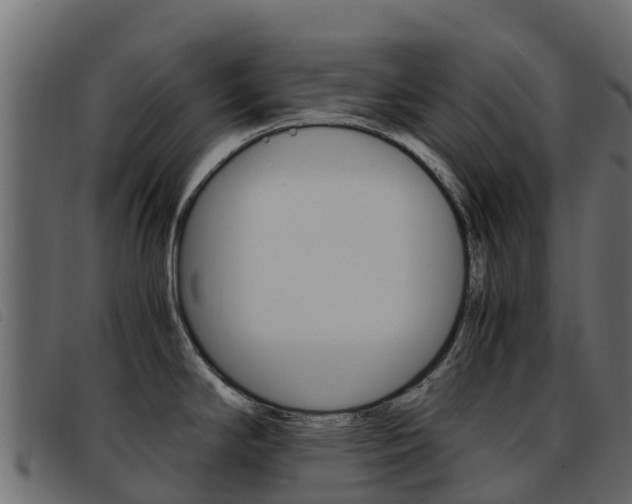 X0000093371294200710111320