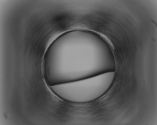 X0000093371295200710111320