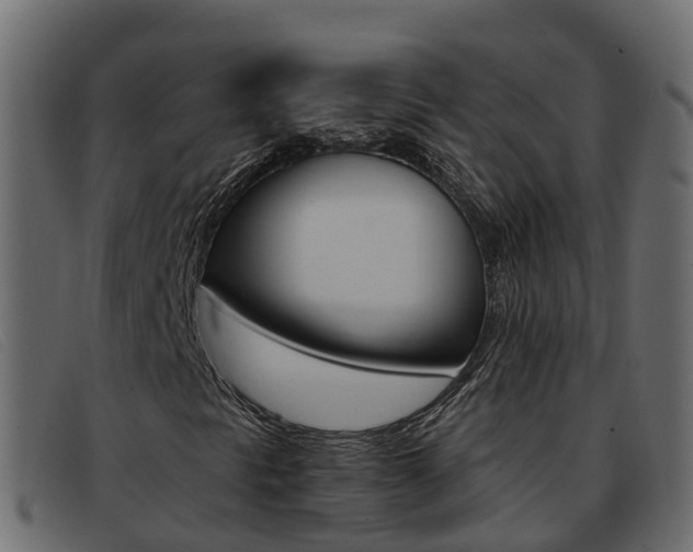 X0000093371297200710111319