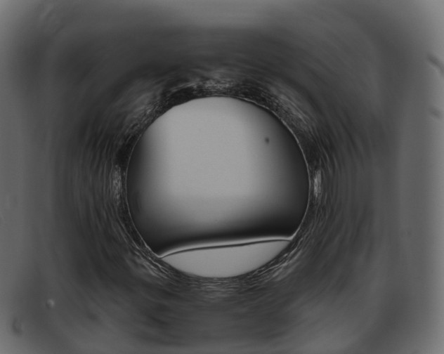 X0000093371299200710111319