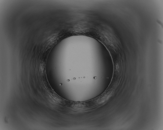 X0000093371300200710111319
