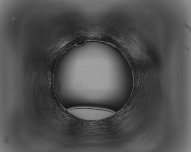 X0000093371301200710111319
