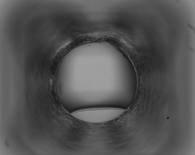 X0000093371302200710111319