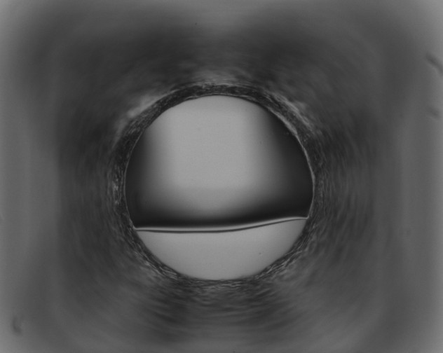 X0000093371303200710111319