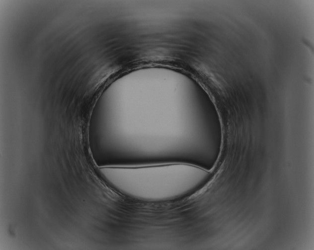 X0000093371305200710111319
