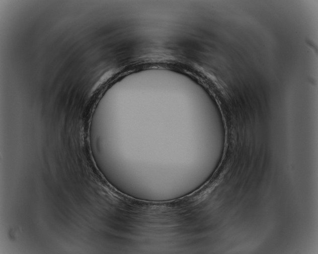 X0000093371306200710111319