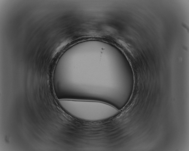 X0000093371307200710111319