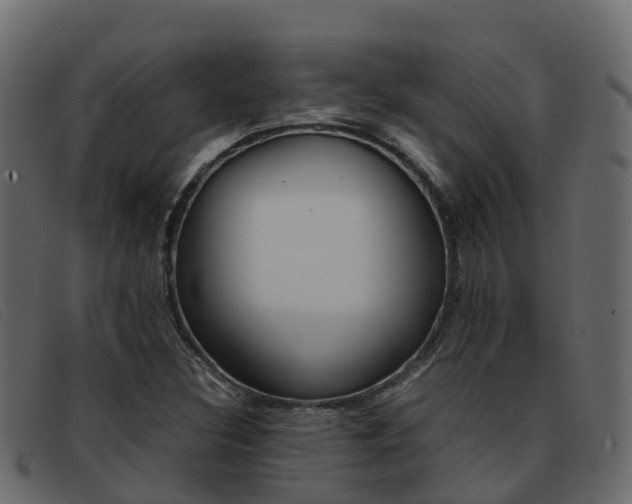 X0000093371308200710111319