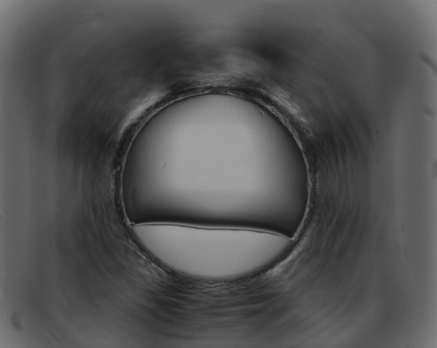 X0000093371309200710111319
