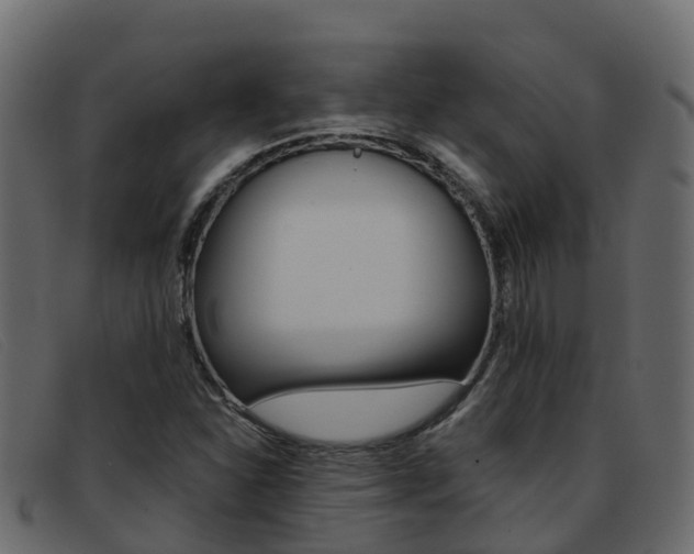 X0000093371310200710111319