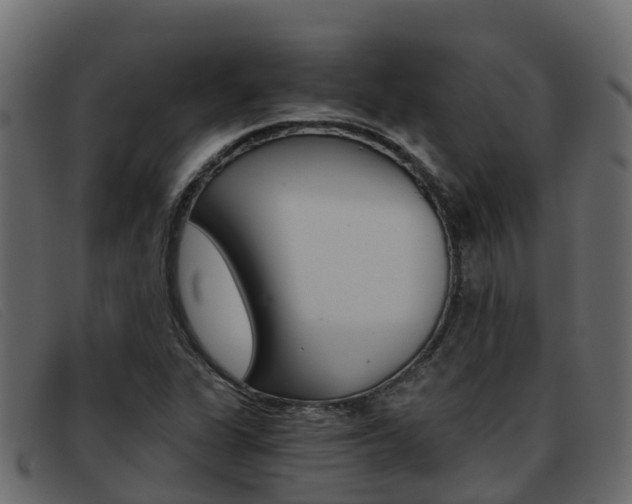 X0000093371311200710111319