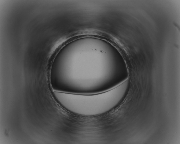 X0000093371312200710111319