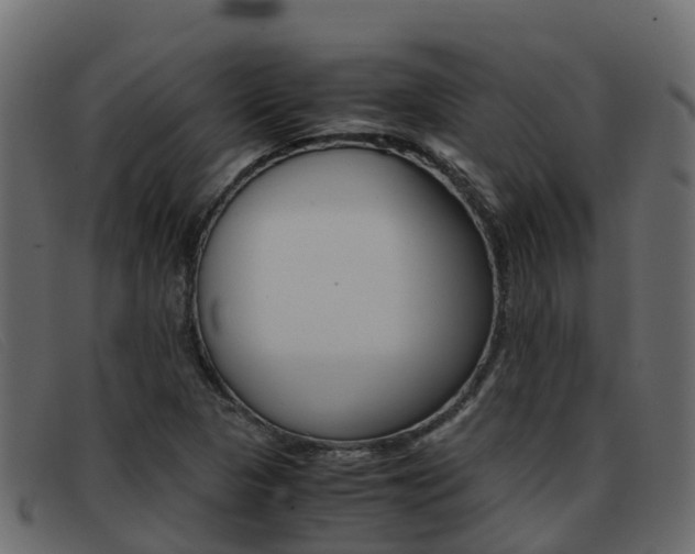 X0000093371313200710111319