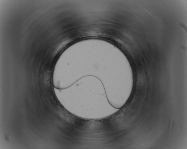 X0000093371314200710111319