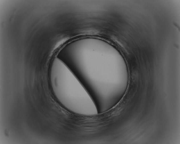 X0000093371315200710111319