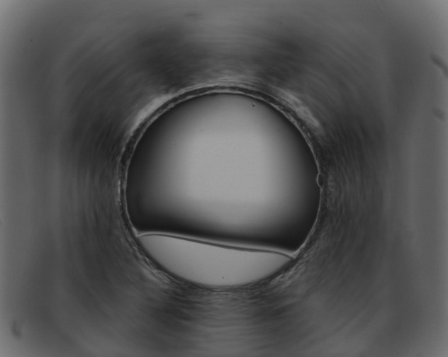 X0000093371316200710111319