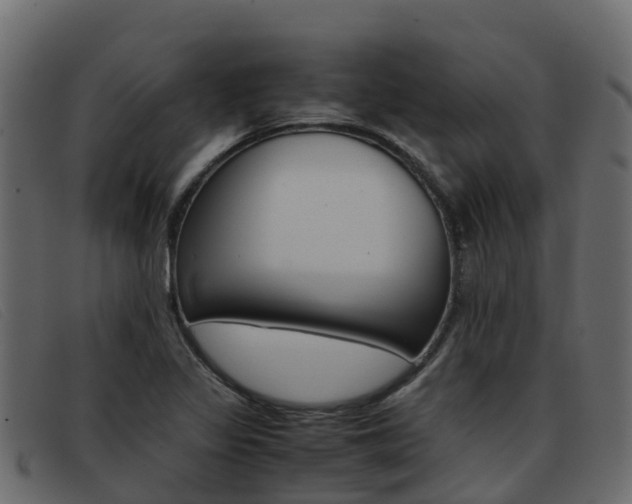 X0000093371317200710111319
