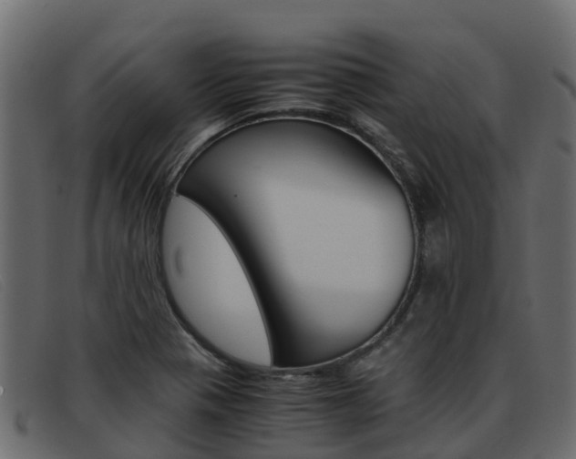 X0000093371321200710111319