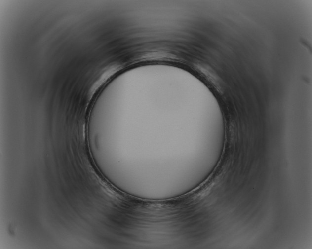 X0000093371322200710111319