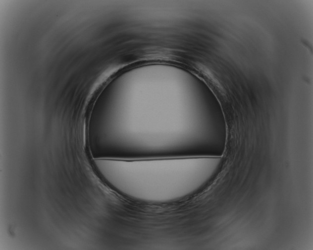 X0000093371323200710111319