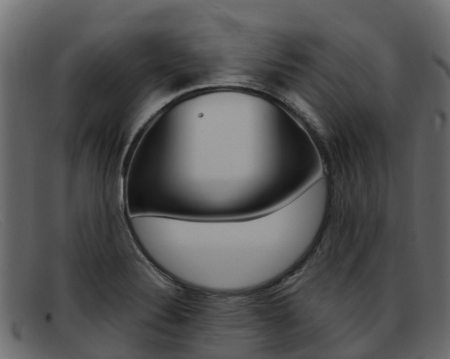 X0000093371324200710111319
