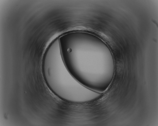 X0000093371326200710111319