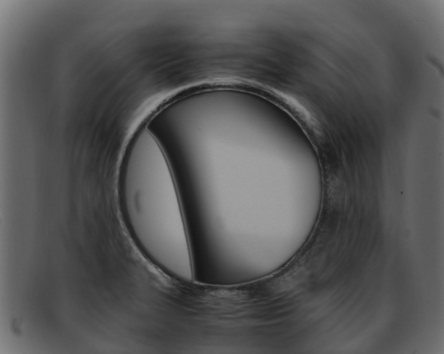 X0000093371327200710111319