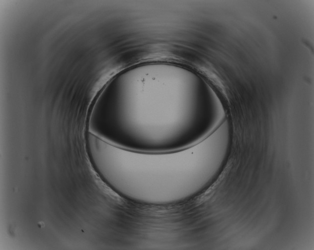 X0000093371330200710111320