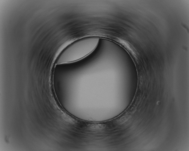 X0000093371331200710111320