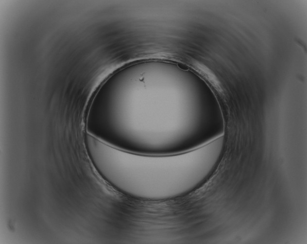 X0000093371332200710111320